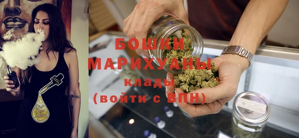 индика Сосновоборск
