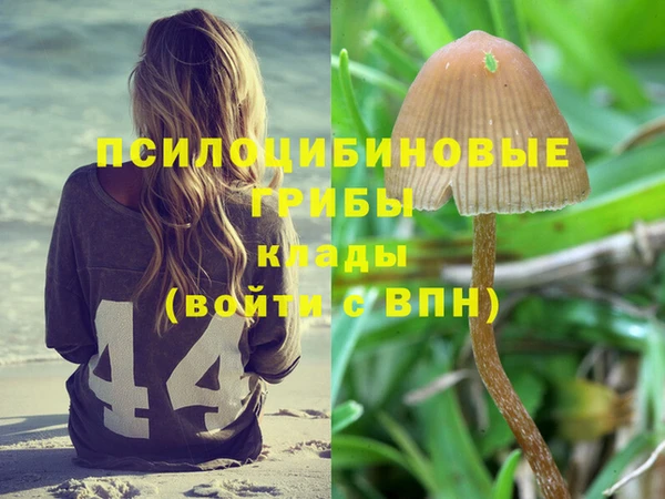 герыч Арсеньев