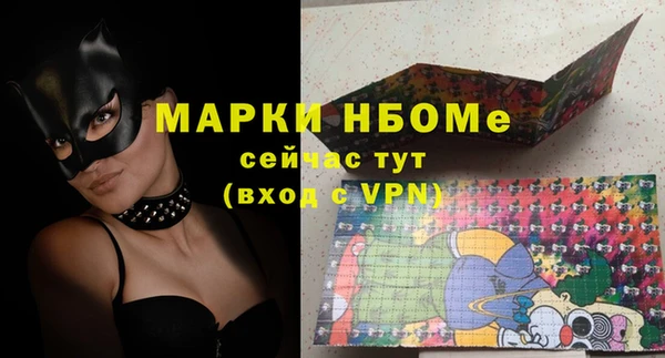 индика Сосновоборск