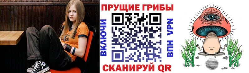 Псилоцибиновые грибы GOLDEN TEACHER  Сычёвка 